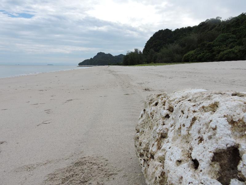 Lone Pine, Penang, A Tribute Portfolio Resort Batu Feringgi Exterior foto